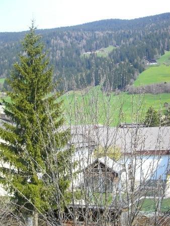 Haus Milli Apartman San Candido Kültér fotó
